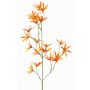 Konstgjord blomkvist Tweedia solanoides PALLAS, orange, 70cm, Ø5cm