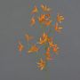 Konstgjord blomkvist Tweedia solanoides PALLAS, orange, 70cm, Ø5cm