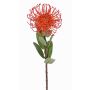 Konstgjord nåldyna Protea BAILY, orange, 55cm, Ø10cm