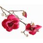 Textilblomma magnolia KOSTAS, cerise, 55cm, Ø6-8cm