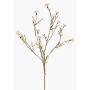 Konstgjord blomkvist, blåklint ZENOBIOS, krämfärgad, 80cm, Ø3-4cm