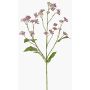 Dekorativ kvist av vattenstjärna KORALIA, violett, 80cm, Ø4-7cm