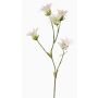Konstgjord japansk nejlika KASTALIA, krämfärgad, 65cm, Ø4-5cm