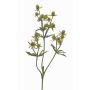 Konstgjord blomkvist, edeldistel KALYPSO, grön, 65cm, Ø3-4cm