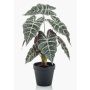 Konstgjord växt Alocasia Sanderiana UTHER, grön-vit, 40cm