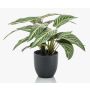 Konstgjord krukväxt Calathea Zebrina VAIDA i dekorativ kruka, grön-vit, 40cm