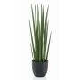Konstväxt Sansevieria Cylindrica KICHIRO i dekorativ kruka, grön, 70cm