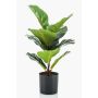 Konstgjord Ficus Lyrata EMILIANA, grön, 55cm