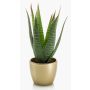 Konstgjord suckulent Aloe Variegata MARTINEZ, keramikkruka i guld, grön, 25cm, Ø17cm