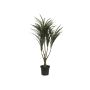Konstgjord Dracaena Reflexa TABIVO, konststam, grön-röd, 90cm