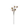 Plastskum Sedum rubrotinctum-gren BIROSSA, crossdoor, beige, 100cm