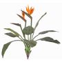 Konstgjord strelitzia NUBIA på stödpinne, orange-violett, 70cm, 17x22cm