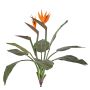 Konstgjord strelitzia NUBIA på stödpinne, orange-violett, 70cm, 17x22cm
