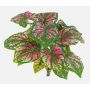 Konstgjord Caladium BECRUX på stödpinne, grön-cerise, 35cm