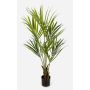 Konstgjord Kentia-palm OMAYRA, 140cm