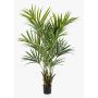 Konstgjord Kentia-palm OMAYRA, buskig, 170cm