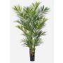 Konstgjord Kentia-palm OMAYRA, buskig, 260cm