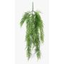 Dekorativ Asparagus Plumosus-hängare ALRISCHA, på pinne, 75cm