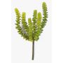Konstgjord Crassula Perforata FULU på pinne, grön, 15cm