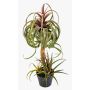 Konstgjord Tillandsia streptophylla ELGAFAR, grön-röd, 80cm