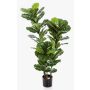 Konstgjord Ficus Lyrata GUDJA, konstgjorda stammar, grön, 130cm