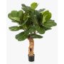 Dekorativ Ficus Lyrata HADAR, naturstam, grön, 110cm
