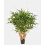 Konstgjord bambu AFONSO, naturstammar, 125cm