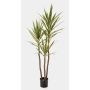 Konstgjord Yucca gloriosa variegata HELVETIOS, grön-gul, 160cm