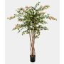 Dekorativ bougainvillea OGMA, naturstammar, blommor, gul-rosa, 150cm