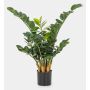 Konstgjord Zamioculcas Zamiifolia AKONO, 65cm