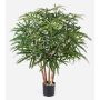 Konstgjord fingeraralia MAKASIM, äkta stammar, grön, 85cm