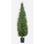 Dekorativ cypress MEKBUDA, grön, 150cm