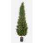 Dekorativ cypress MEKBUDA, grön, 180cm