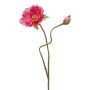 Konstblomma vallmo HASNA, cerise, 75cm, Ø11cm