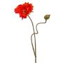 Konstblomma vallmo HASNA, röd-orange, 75cm, Ø11cm