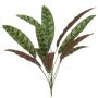 Konstgjord växt Calathea Makoyana WIDO på stödpinne, grön-vinröd, 70cm