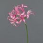 Dekorativ konstblomma trädgårdsamaryllis BAIMAI, rosa, 75cm, Ø19cm