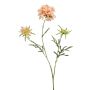 Dekorativ kvist av scabiosa MARUA, persika, 80cm