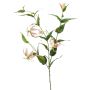 Stor konstblomma Gloriosa WARIS rosa-krämfärgad, 120cm
