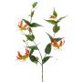 Stor konstblomma Gloriosa WARIS, orange-gul, 120cm