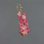 Konstgjord blomma, riddarsporre SETSUKO, rosa-cerise, 95cm, Ø14cm