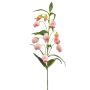 Stor konstblomma, lanternlilja NIZAR, rosa-krämfärgad, 100cm, Ø2,5-3,5cm