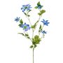 Stor konstblomma, klematis HIKARI, blå, 110cm, Ø5-14cm