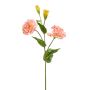 Konstgjord lisianthus PHAM, persika, 60cm