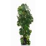 Dekorationsväxt Philodendron Monstera Deliciosa RONGPU, 75cm