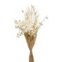 Konstgjord pionbukett AYMA med ballong-spindelblomma, krämfärgad, 60cm