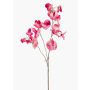 Konstgjord blomma, doftväxter KANZI, cerise-krämfärgad, 75cm, Ø4-7cm