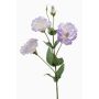 Konstblomma Lisianthus JENO, ljuslila-krämfärgad, 65cm, Ø7-9cm