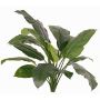 Konstväxt Spathiphyllum PLAKIAS, svårantändlig, stödpinne, grön, 90cm