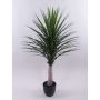 Yucca rostrata DENDES i dekorativ kruka, 120cm